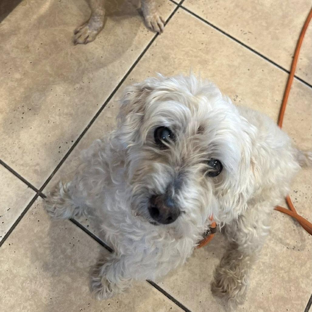 Roger — thumbnail 3