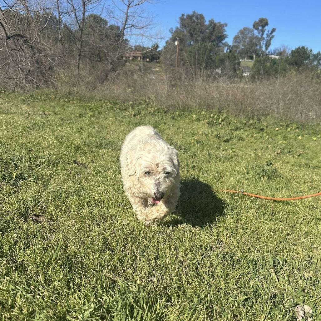 Roger — thumbnail 4