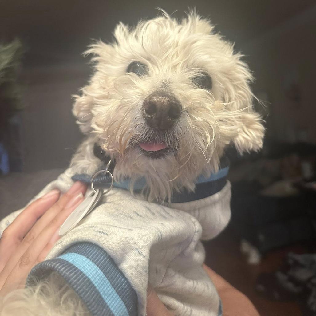 Roger — thumbnail 5