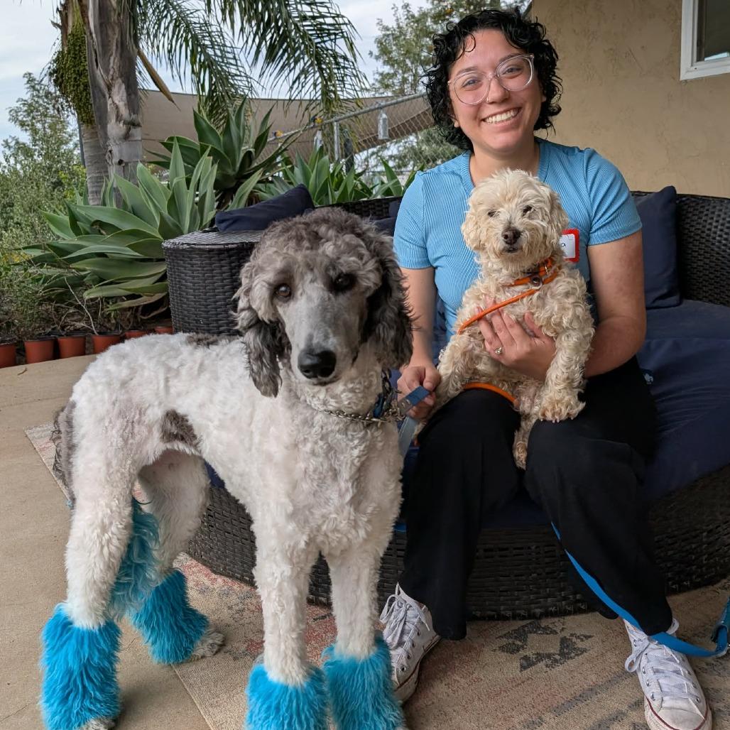 Roger — thumbnail 6