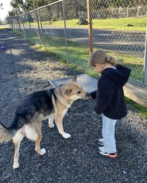 Enlarge Bonnie, a Adoptable mixed breed in Crescent city, CA image 4/6
