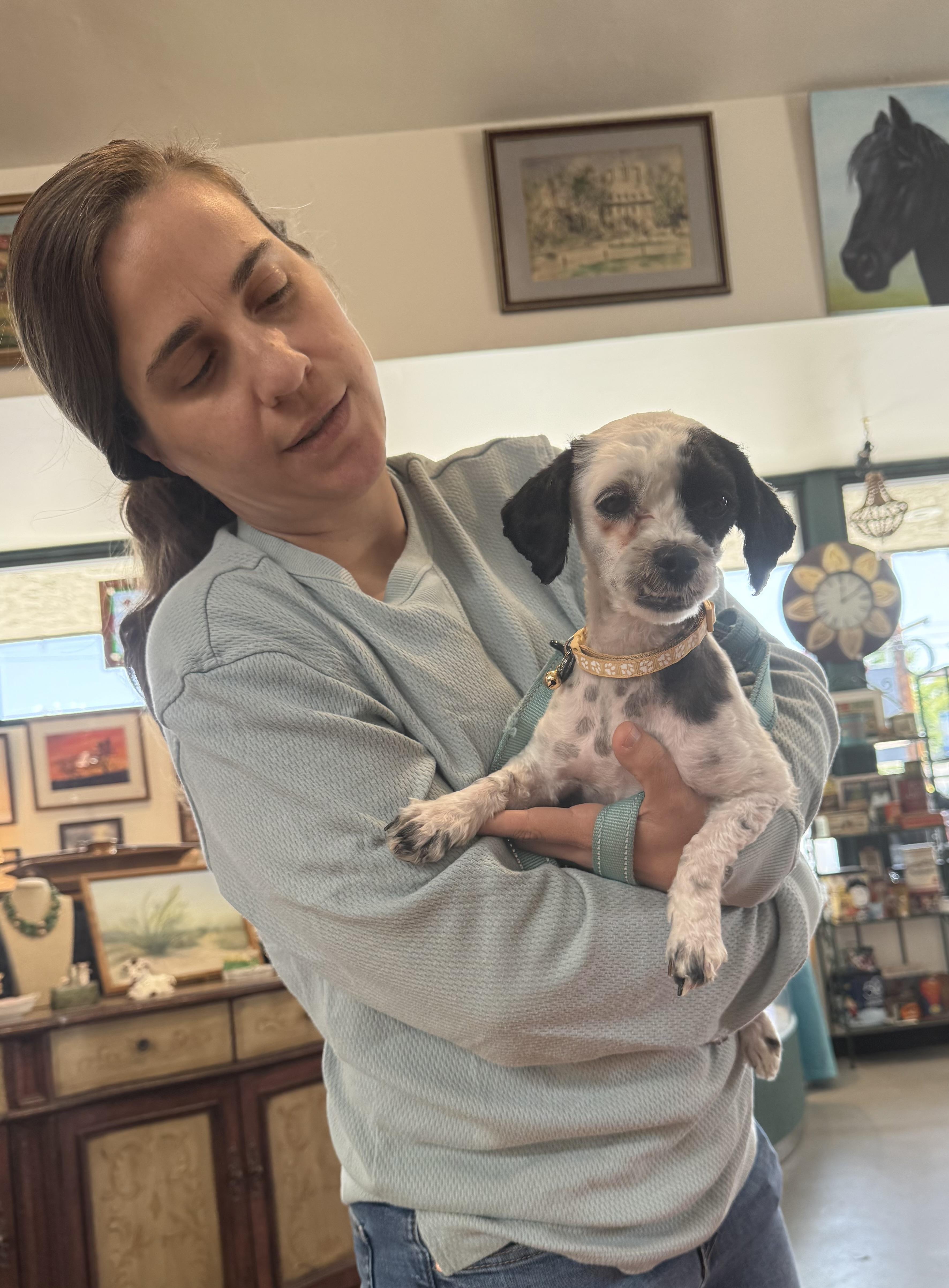 Betty, an adopted mixed breed in Glendale, CA image 5/6