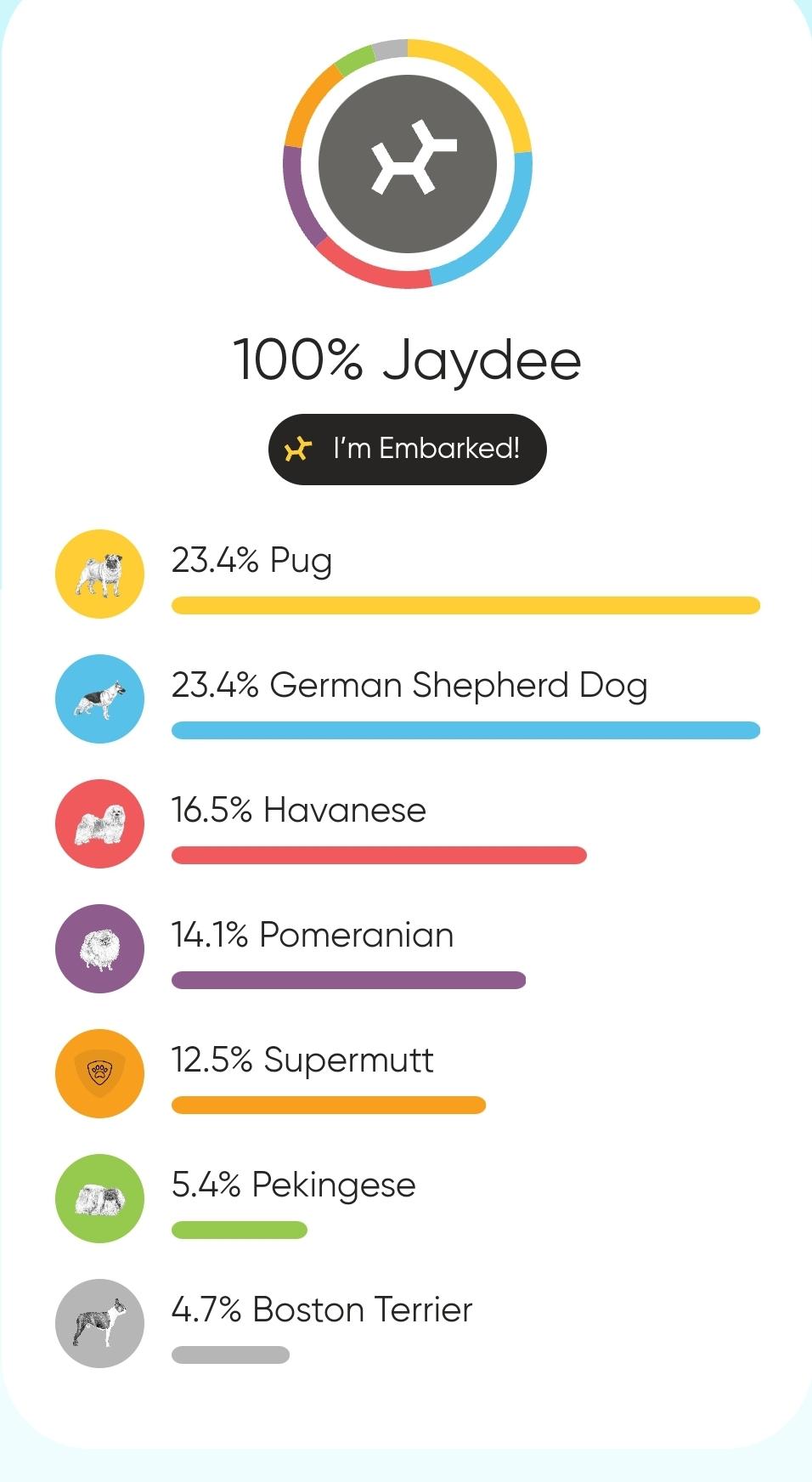 Jaydee, a Adoptable Mixed Breed in Vancouver, BC image 3/5