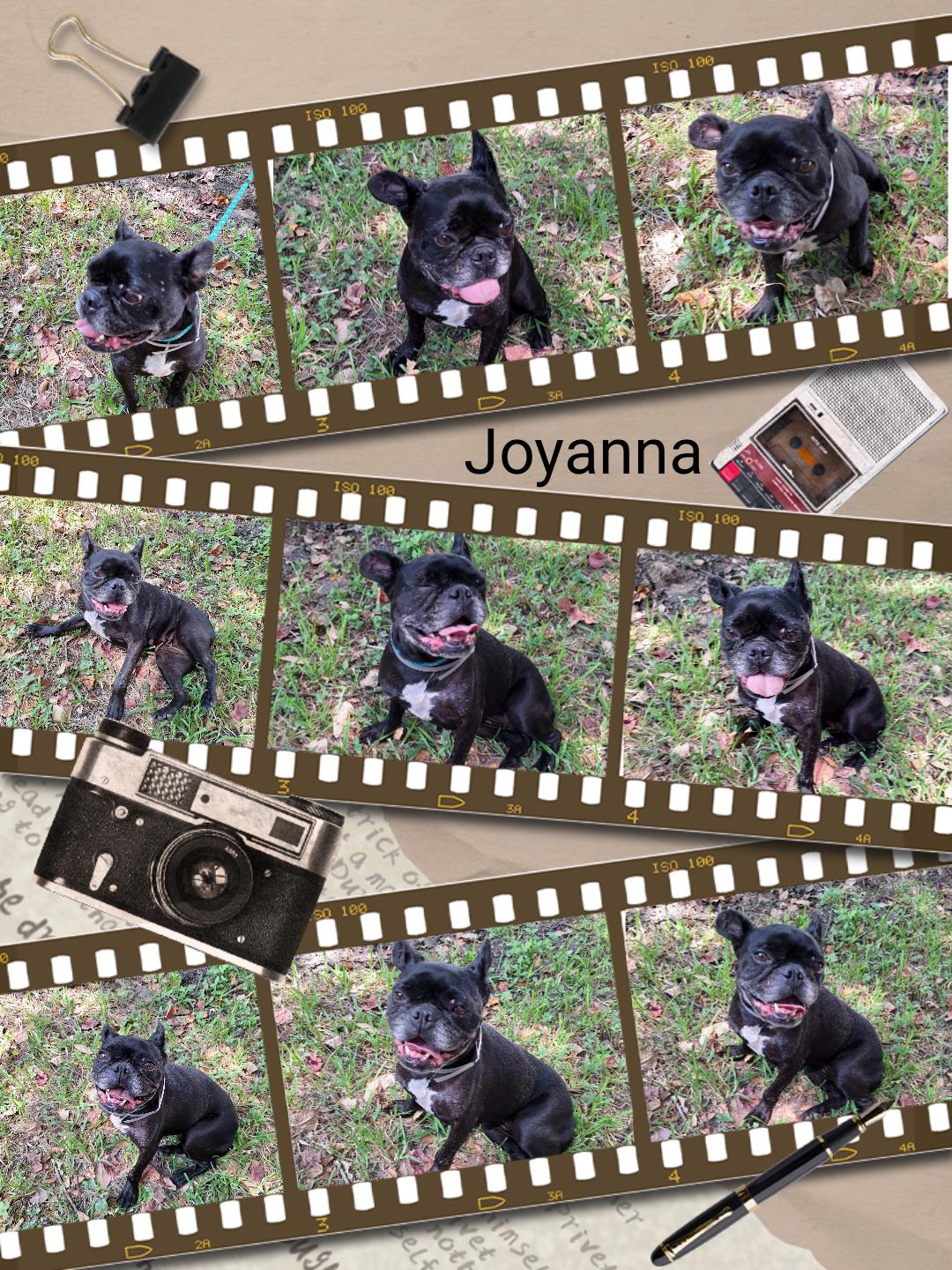 Joyanna Slthw thumbnail 2