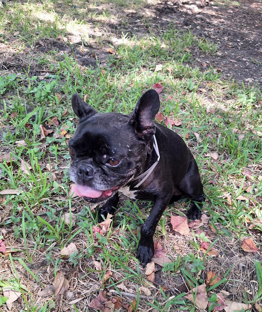 Joyanna Slthw thumbnail 3