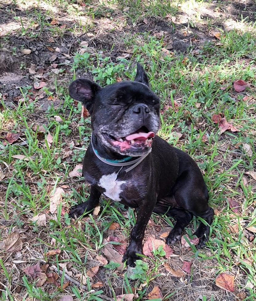 Joyanna Slthw thumbnail 4