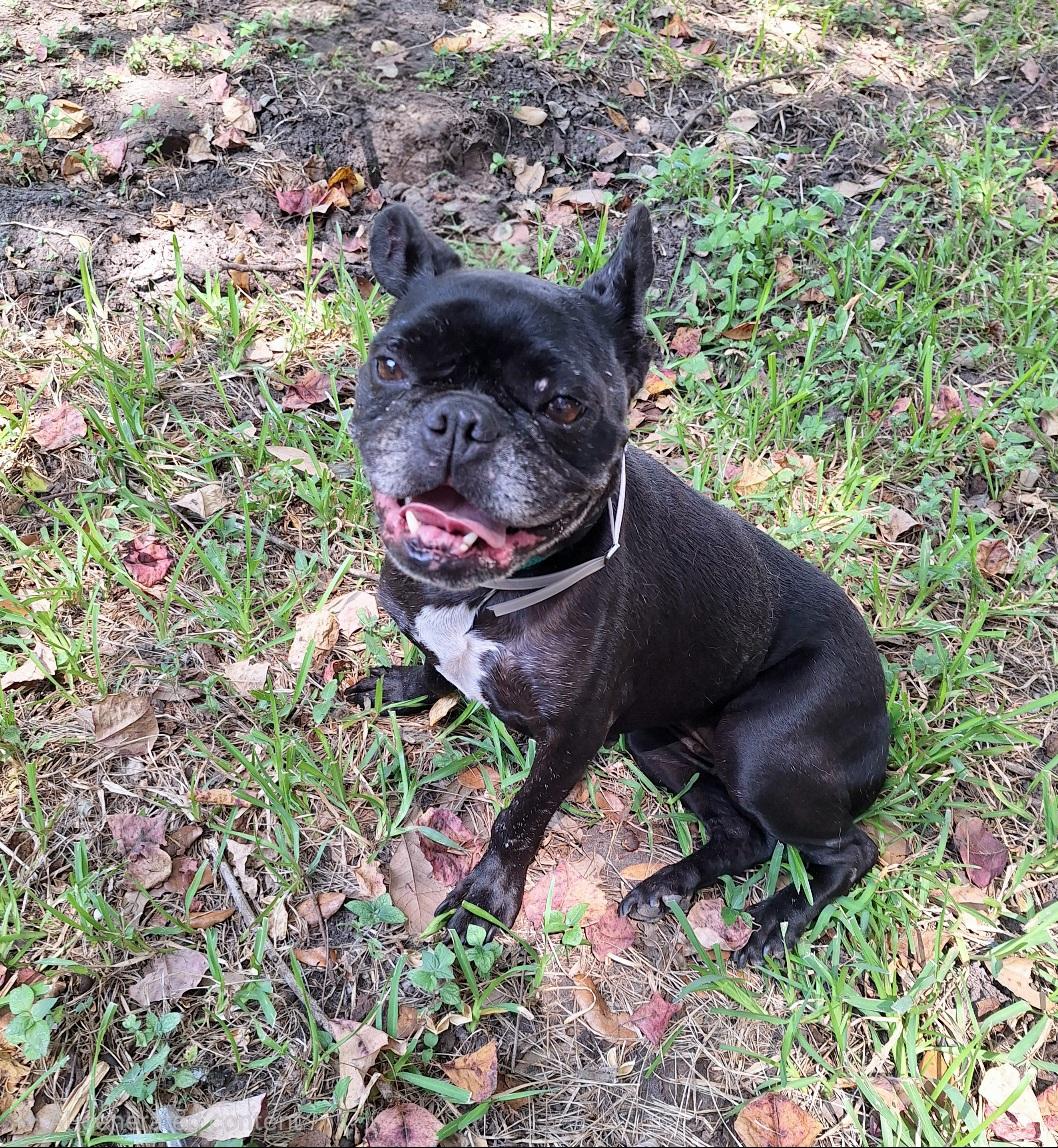 Joyanna Slthw thumbnail 6