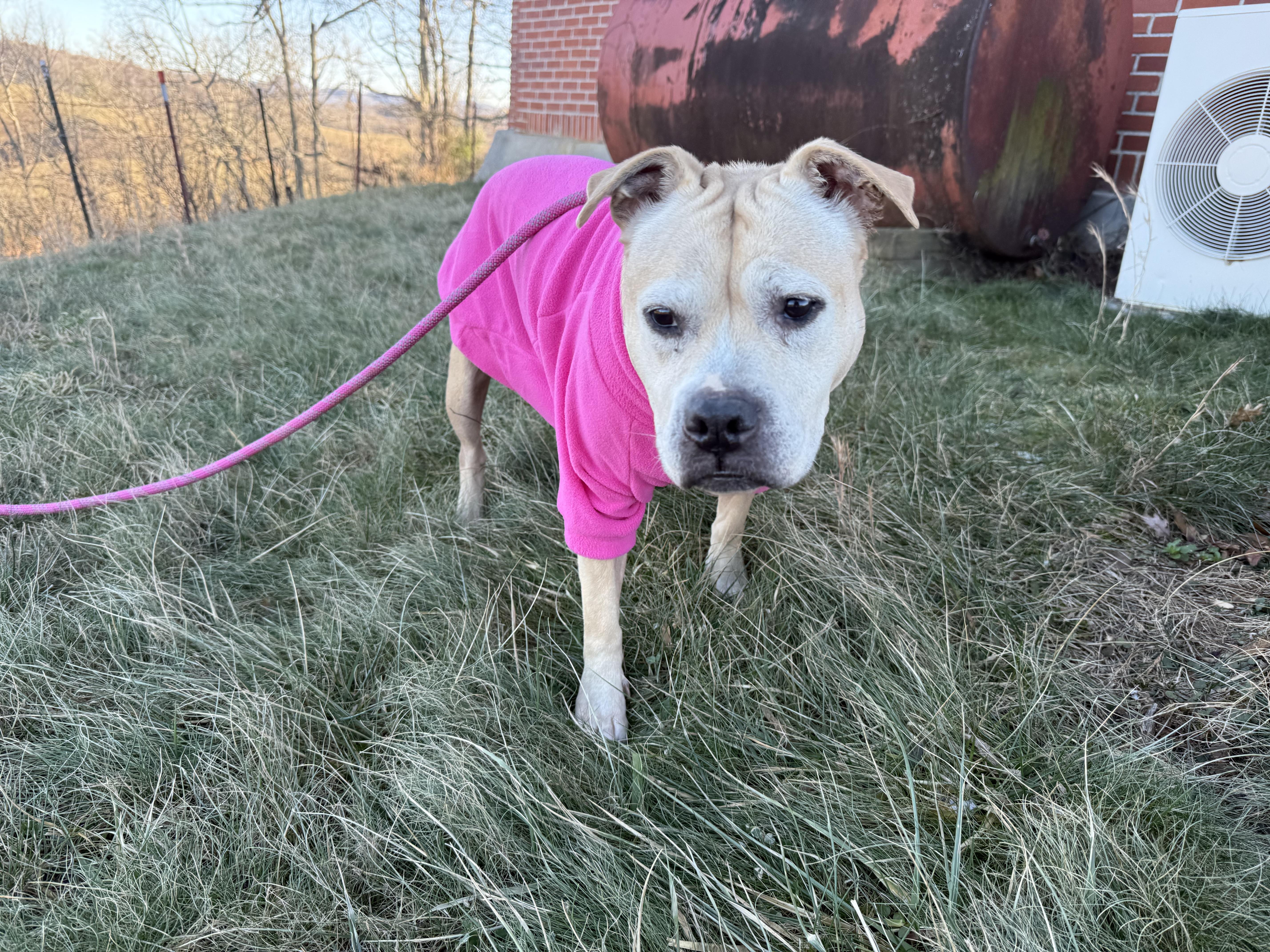 Sandy Cheeks thumbnail 2