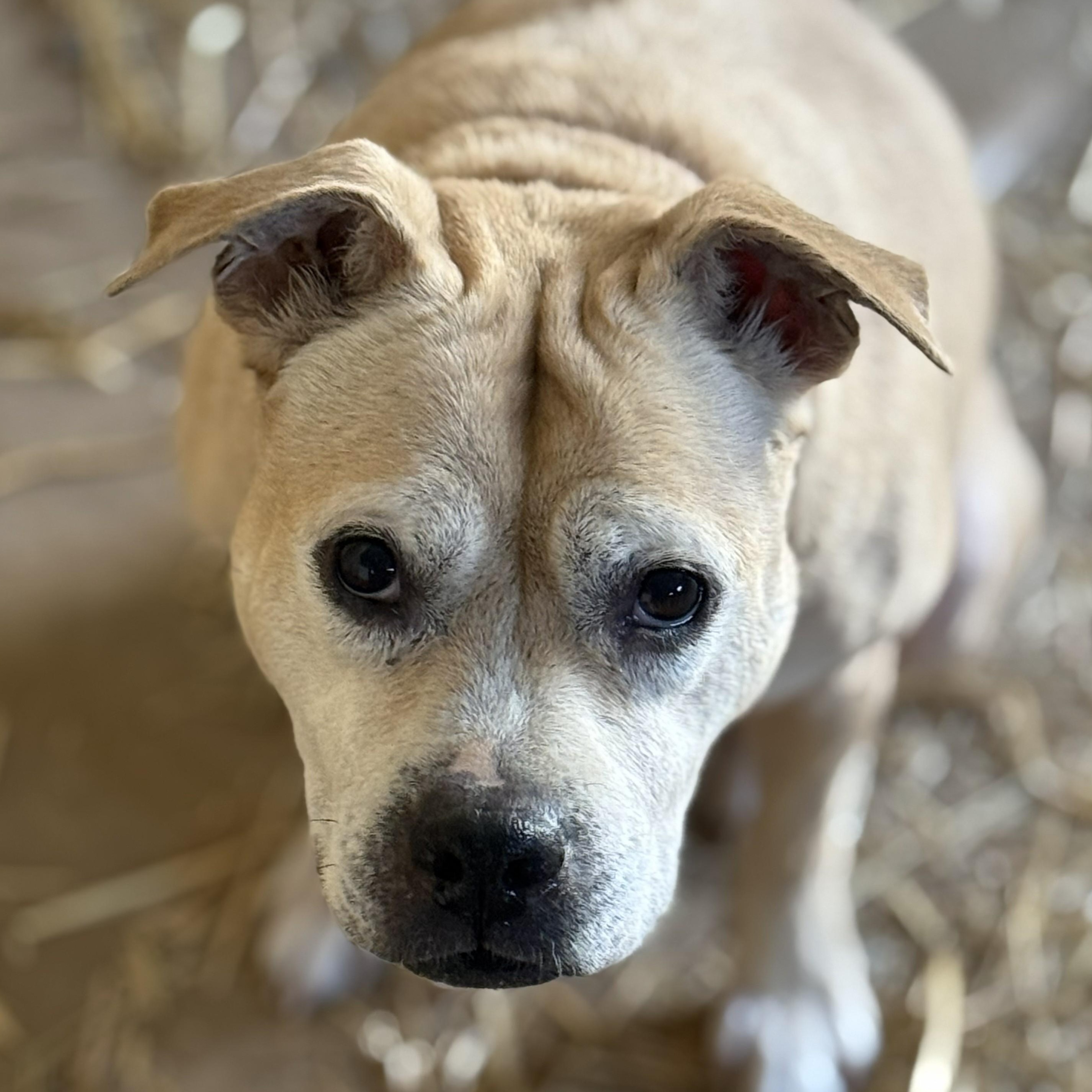 Sandy Cheeks thumbnail 3