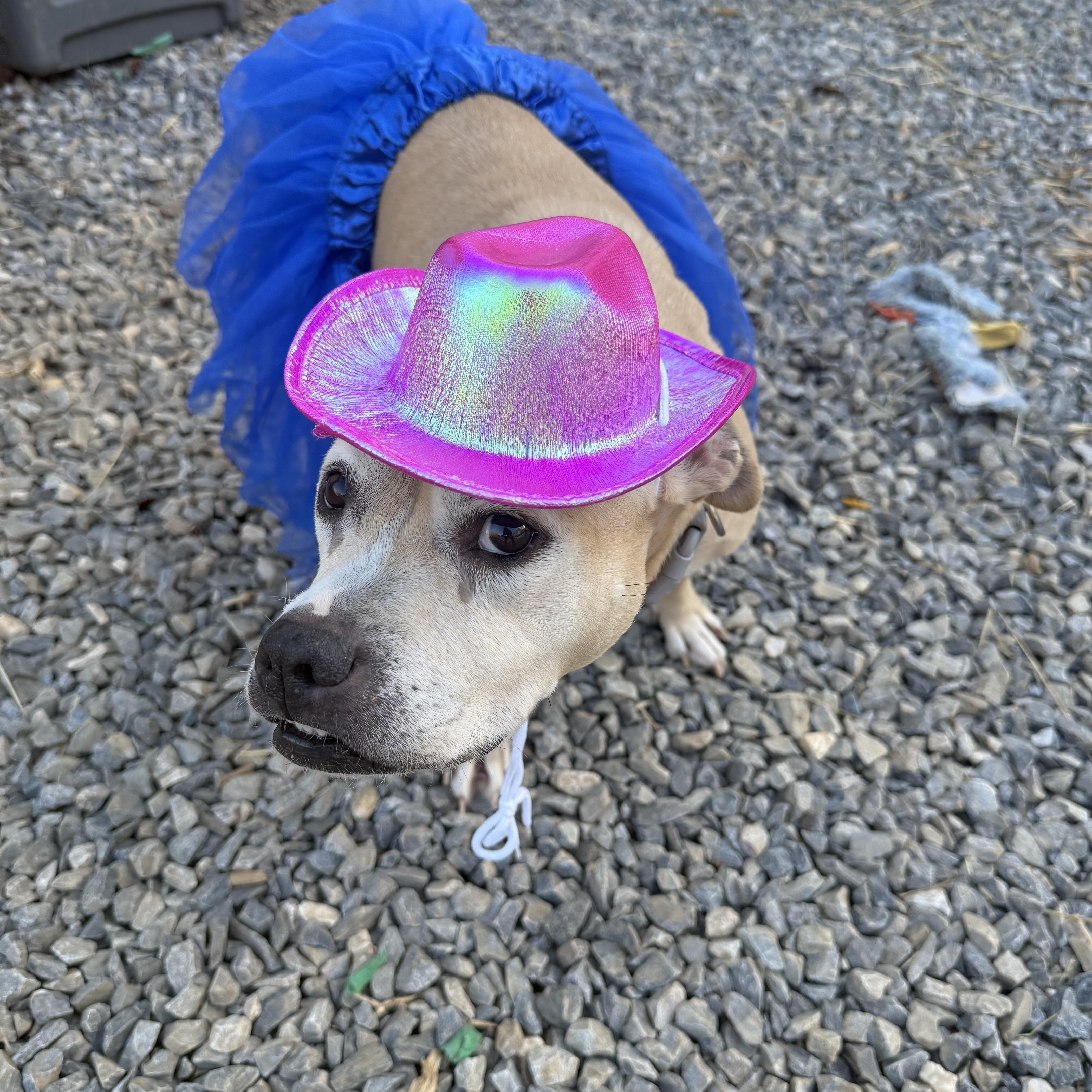 Sandy Cheeks thumbnail 5