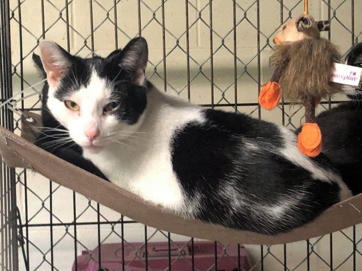 Bruce Springsteen — thumbnail 3