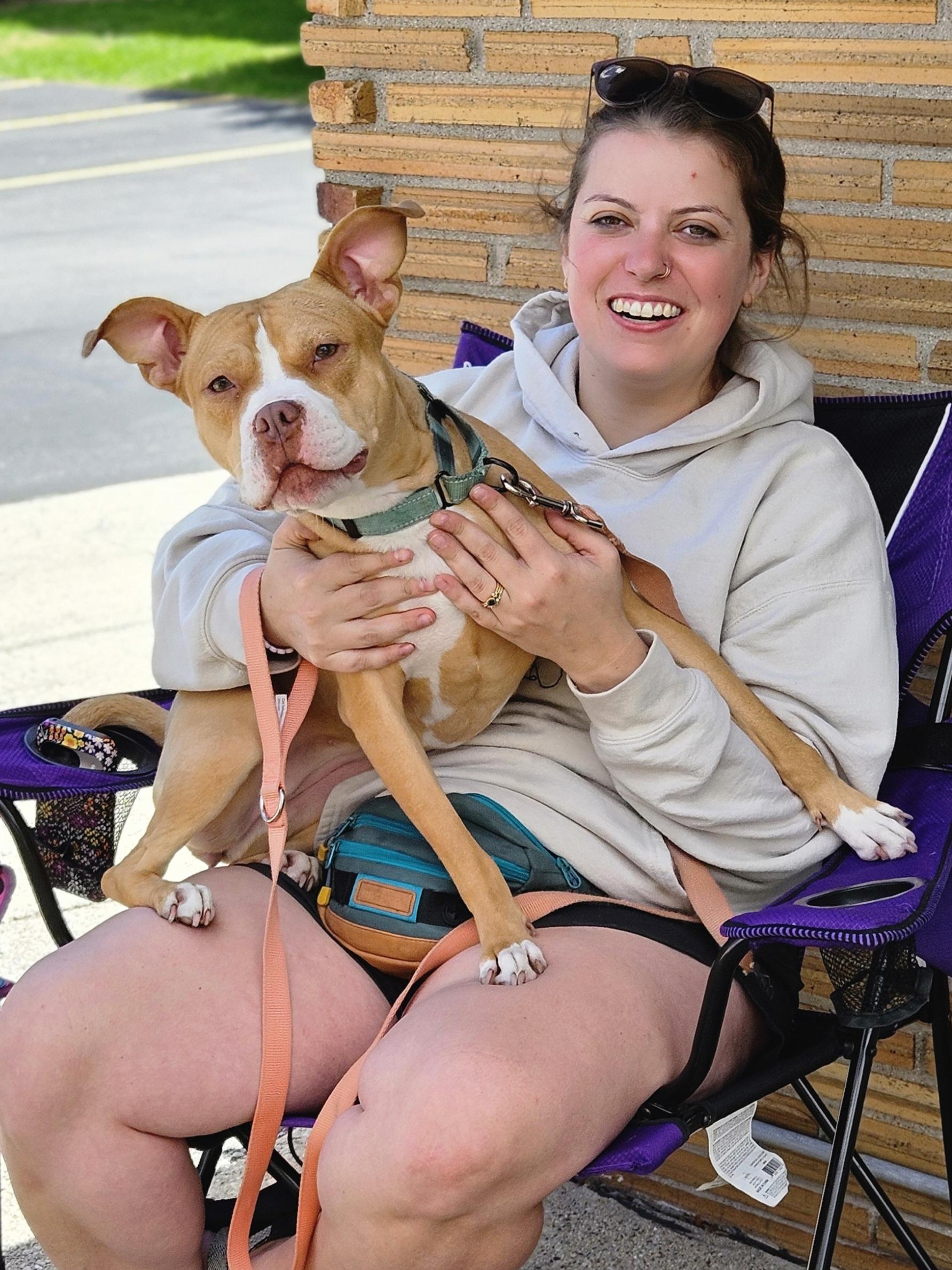 SADIE RUE $400, a Adoptable mixed breed in Milwaukee, WI image 2/6