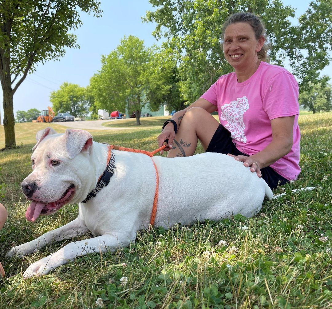 Enlarge Padme, a Adoptable American Bulldog in Lake Odessa, MI image 5/14