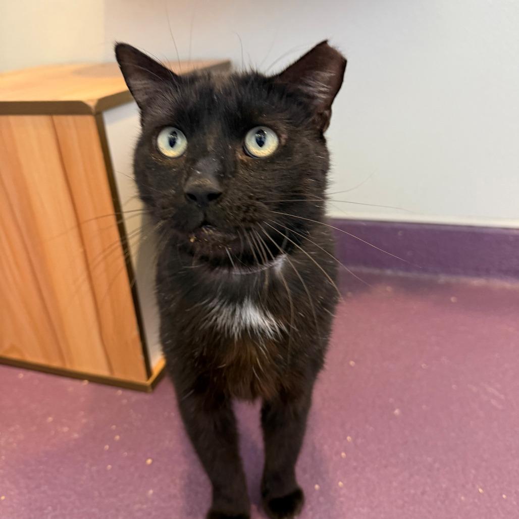 Luke — thumbnail 2