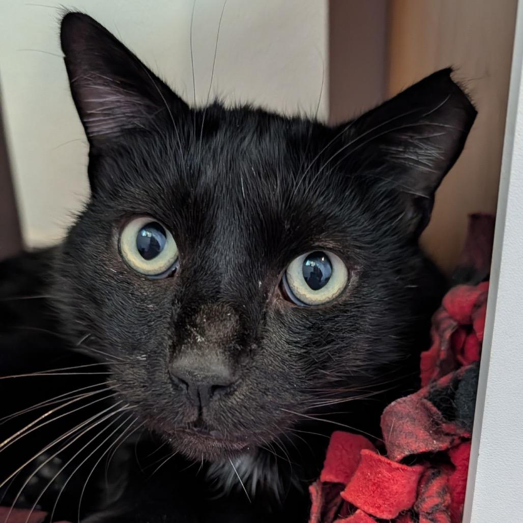 Luke — thumbnail 3