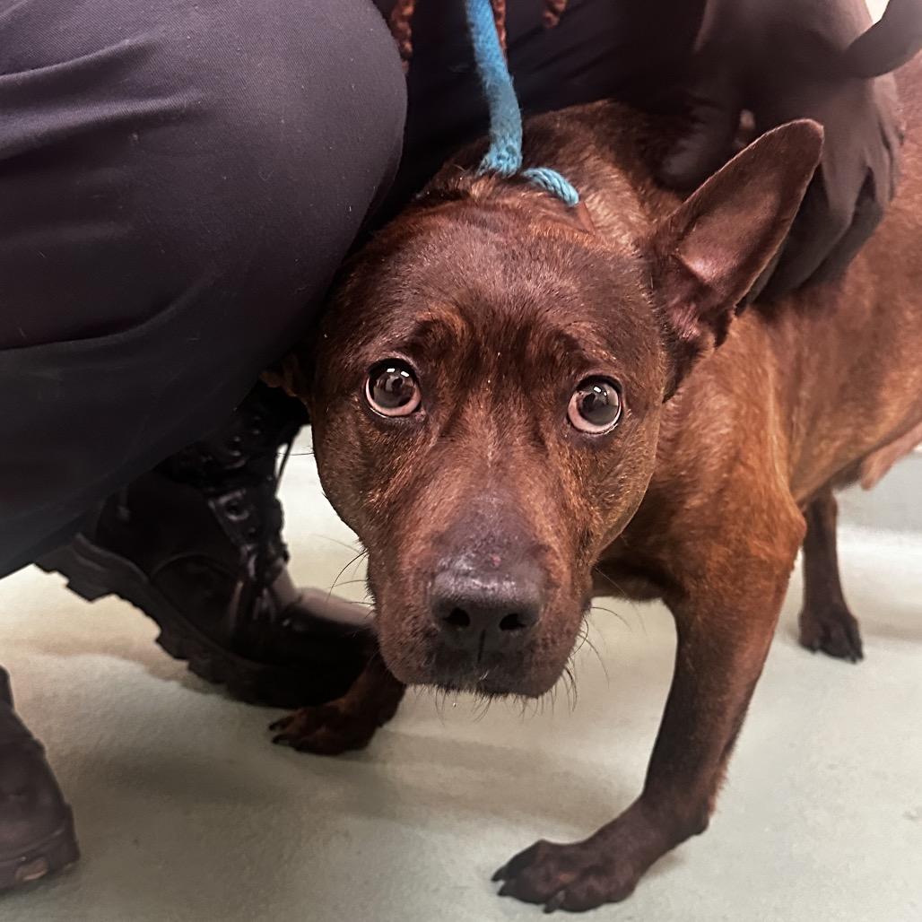 Lia Pen — thumbnail 2