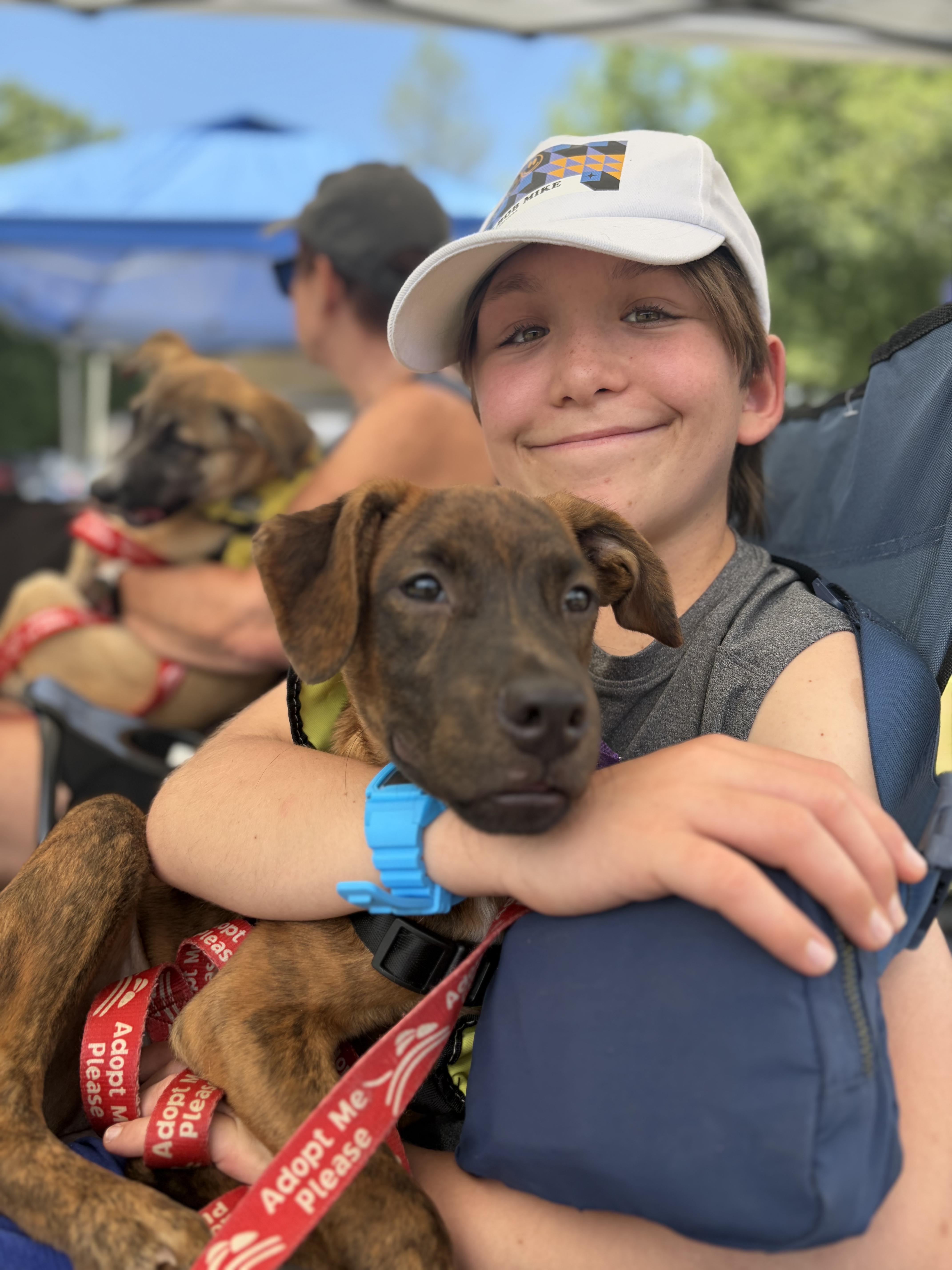 Enlarge Bella, a ADOPTABLE mixed breed in New York, NY image 6/6