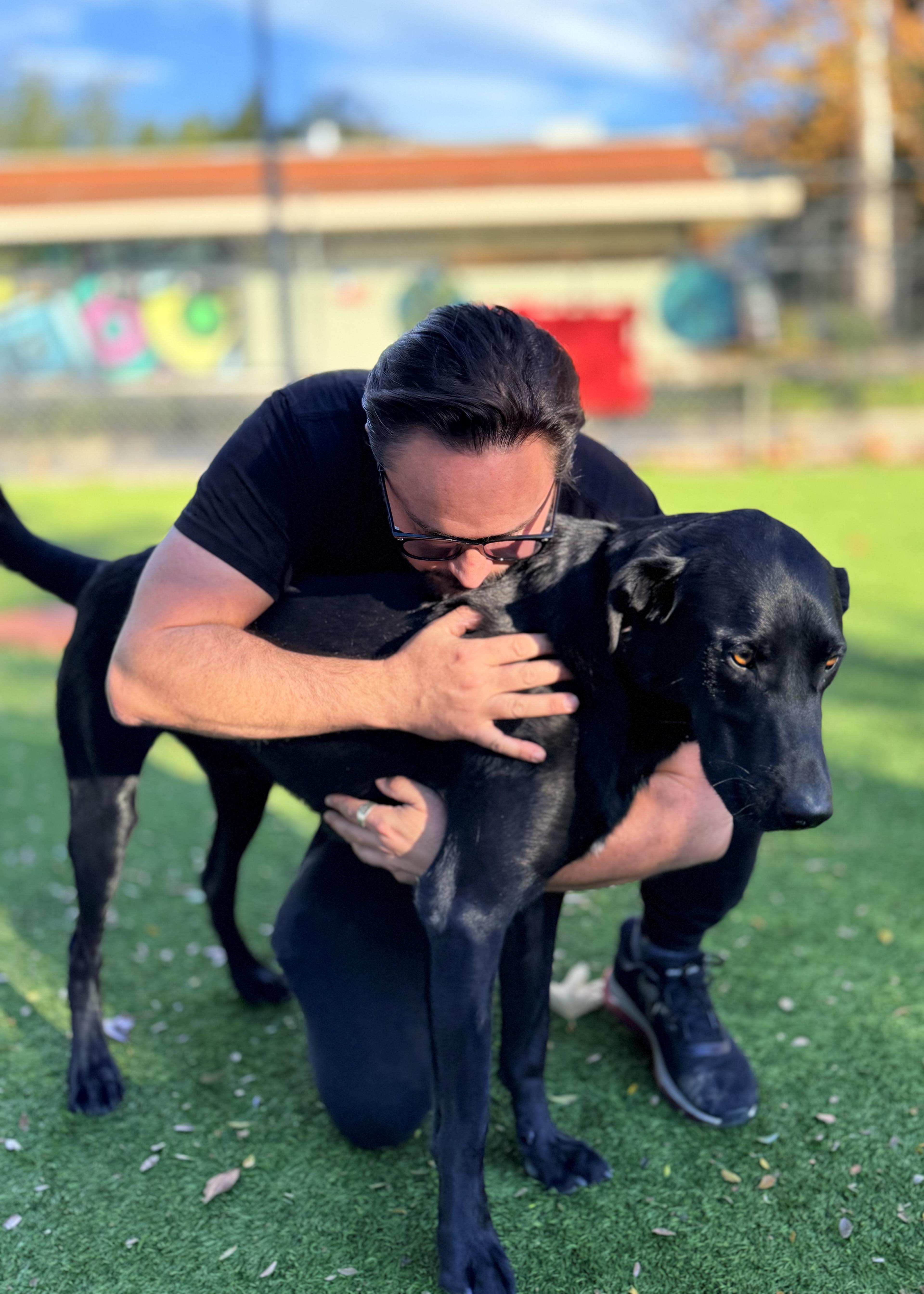 Enlarge Zeus, a ADOPTABLE Labrador Retriever in Thousand Oaks, CA image 2/6