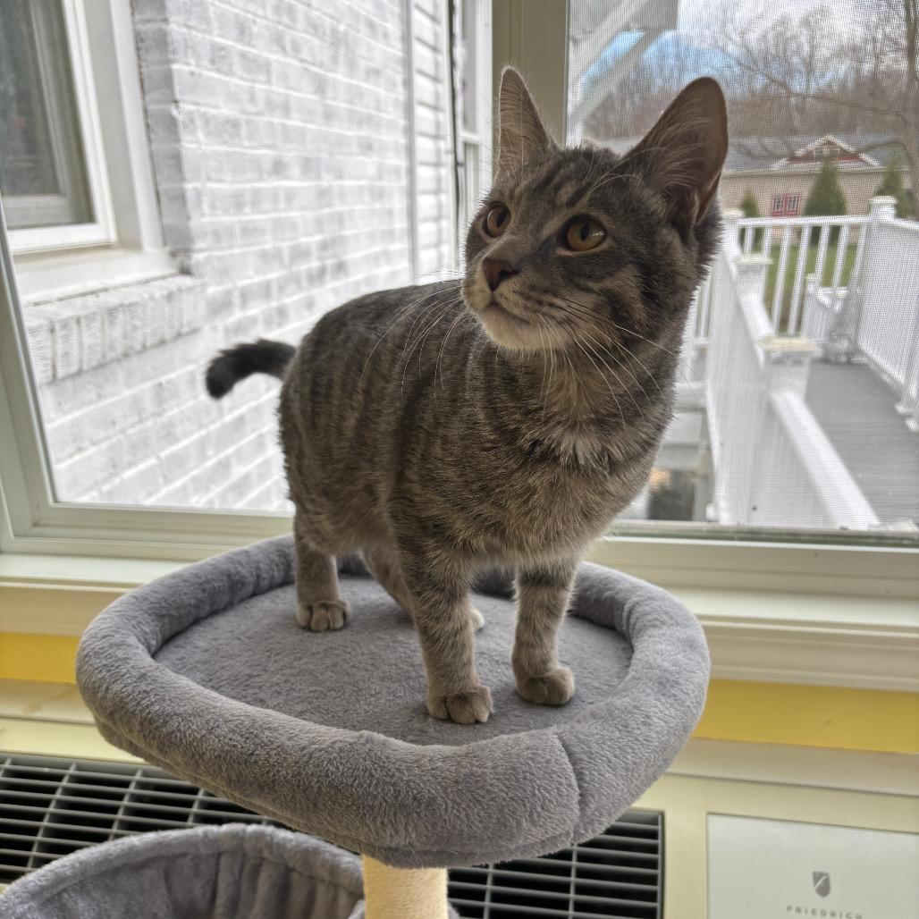 Cairo — thumbnail 3