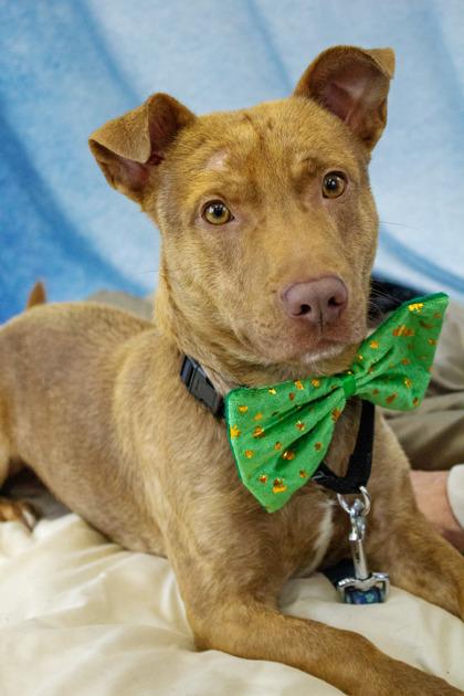 Rory — thumbnail 2