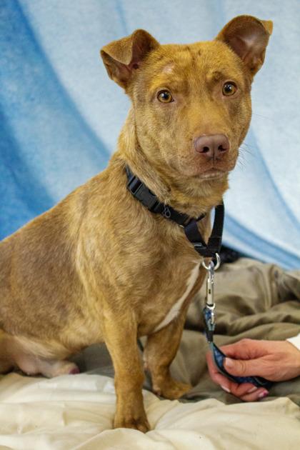 Rory — thumbnail 3