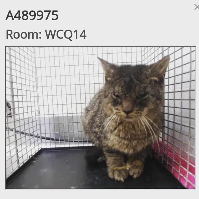 Sprout — thumbnail 5