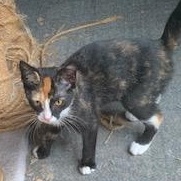 Larry and Chrissy - 4 months old @8/31