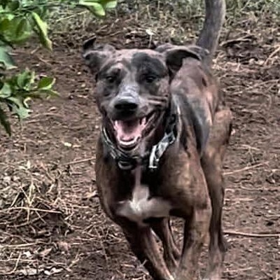 Marlene OH — thumbnail 2