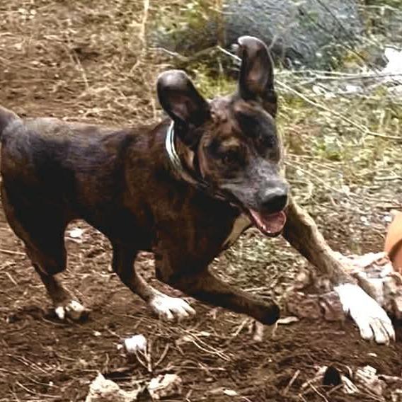 Marlene OH — thumbnail 3