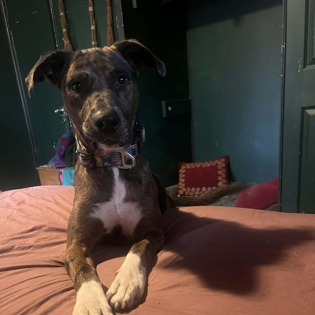 Marlene OH — thumbnail 4