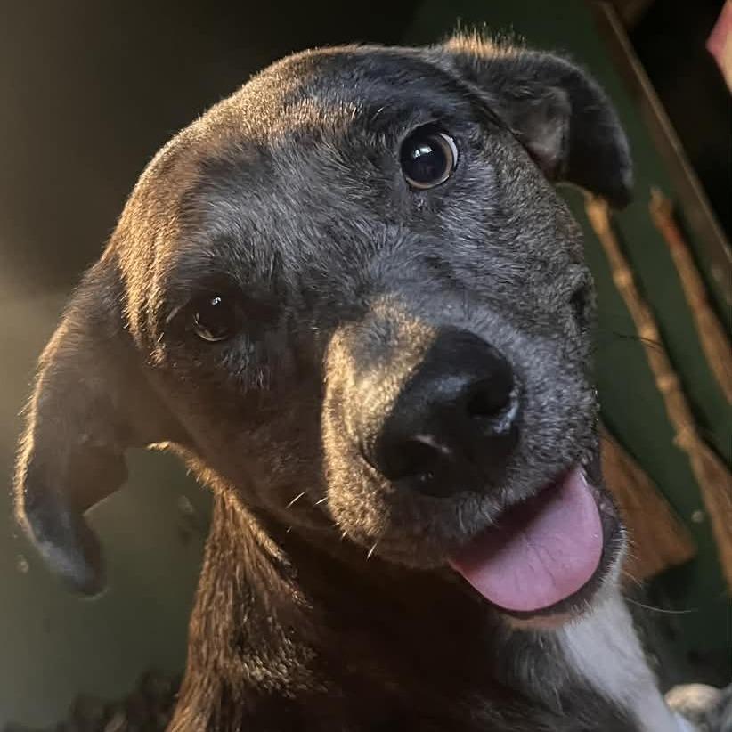 Marlene OH — thumbnail 5