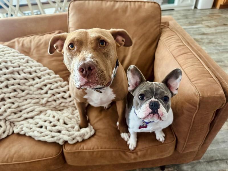 Blinky Baby loves the babies and belly rubs