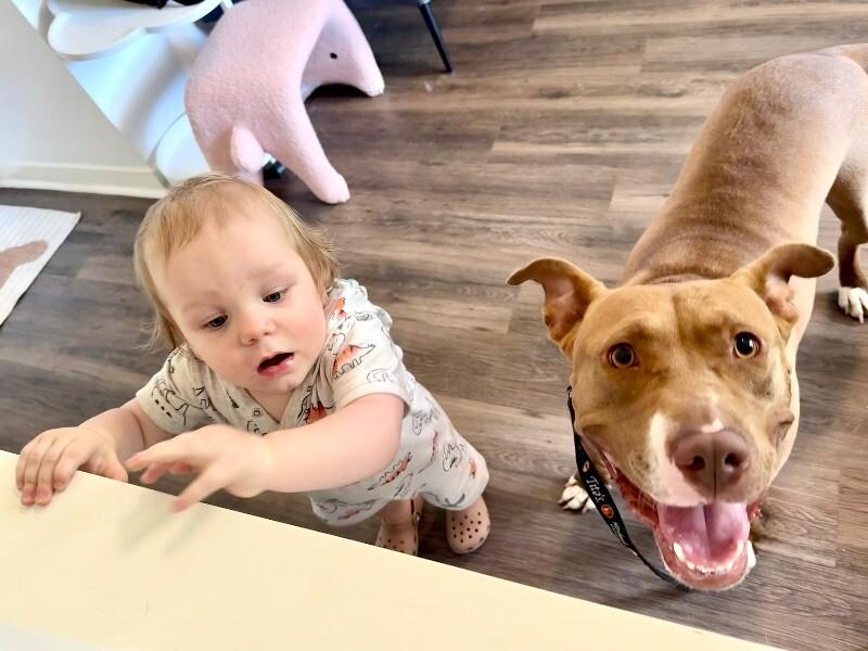 Blinky Baby loves the babies and belly rubs — thumbnail 4