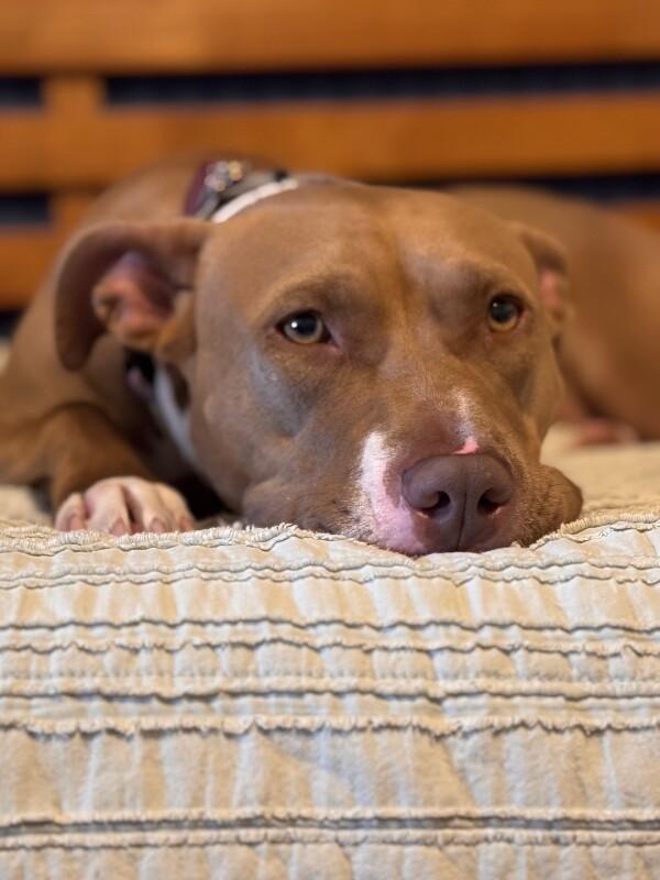 Blinky Baby loves the babies and belly rubs — thumbnail 5