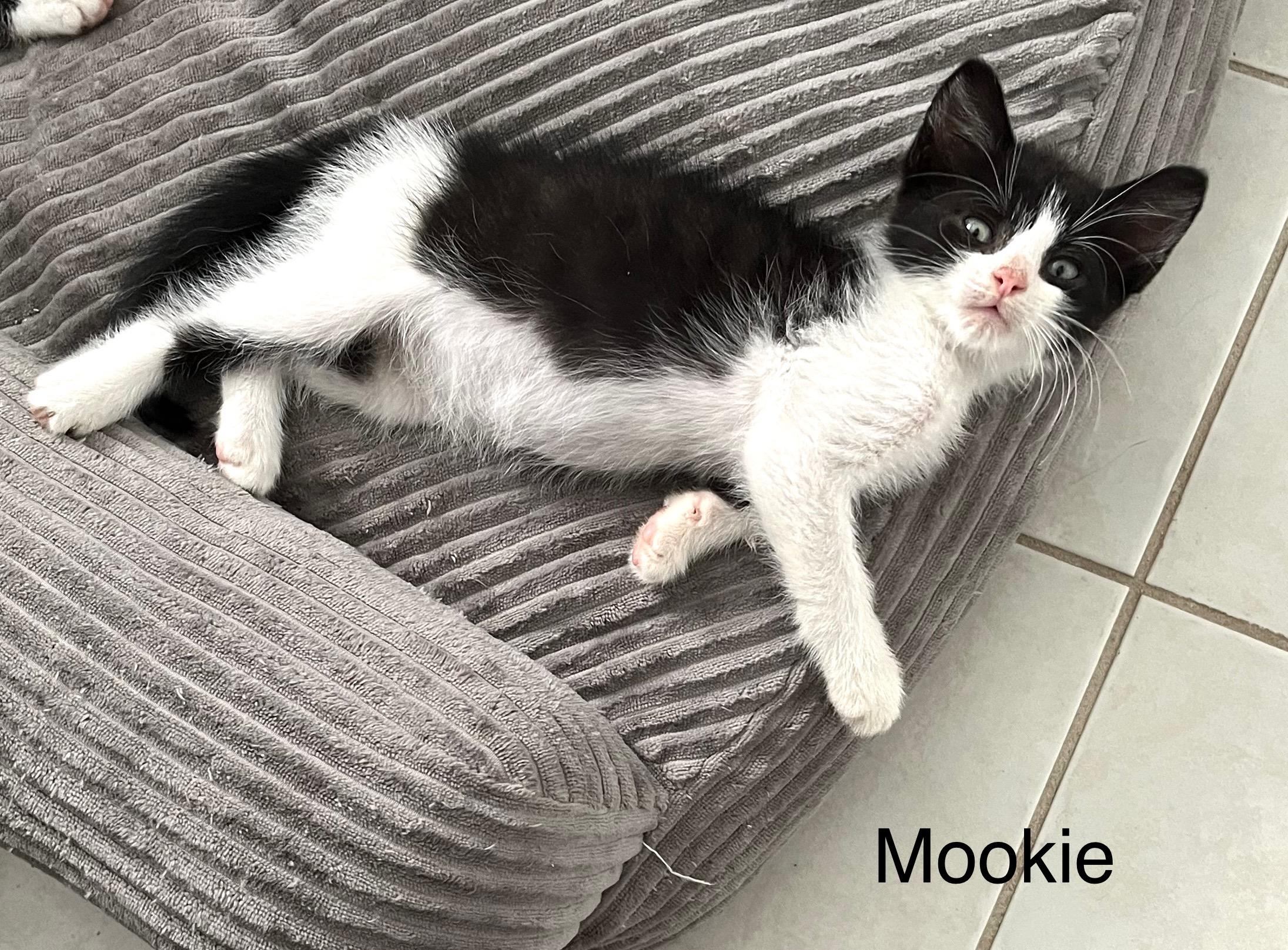 Mookie