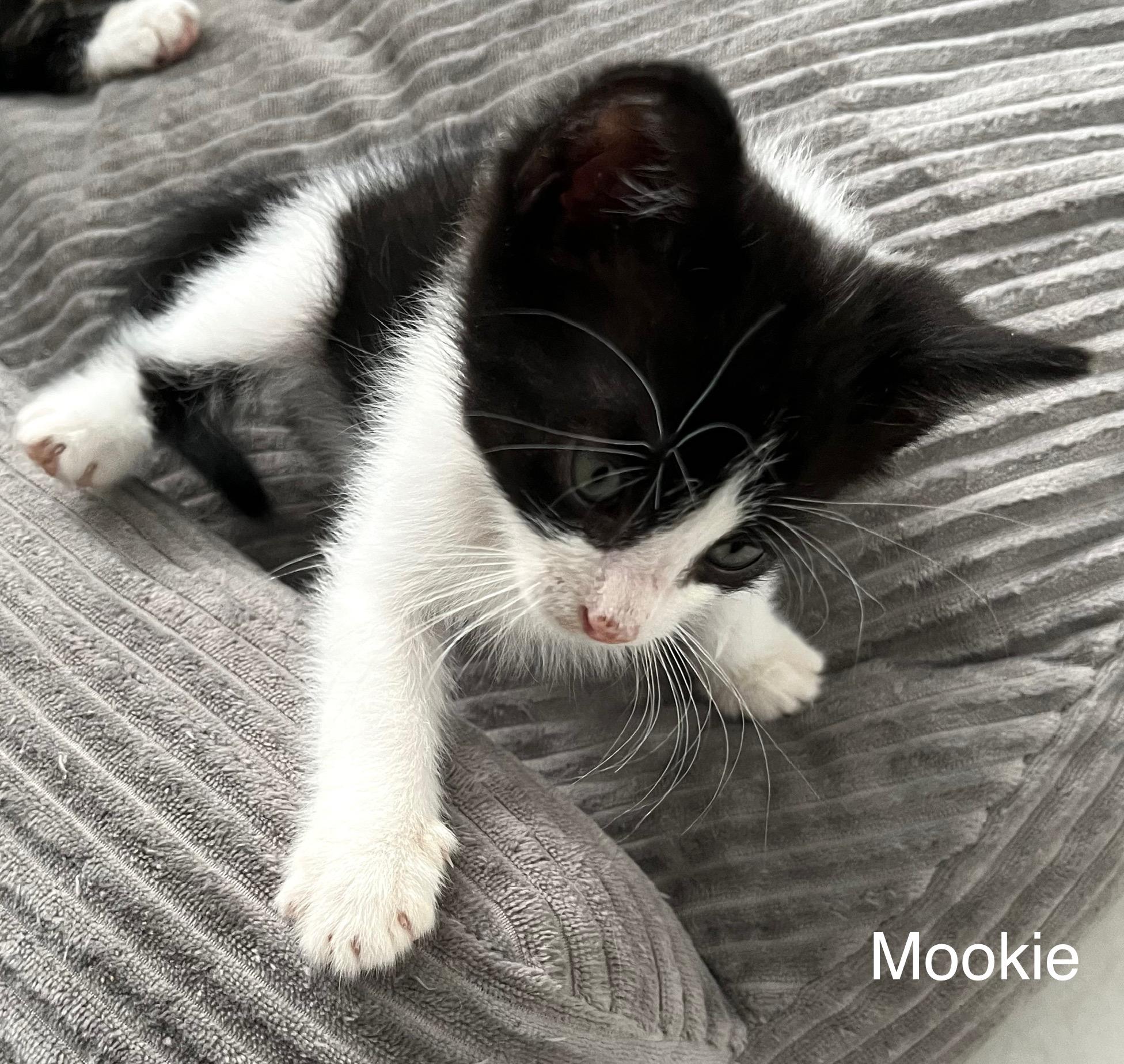 Mookie
