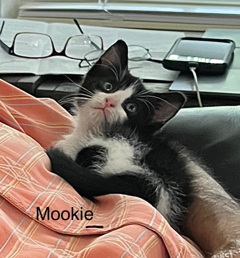Mookie