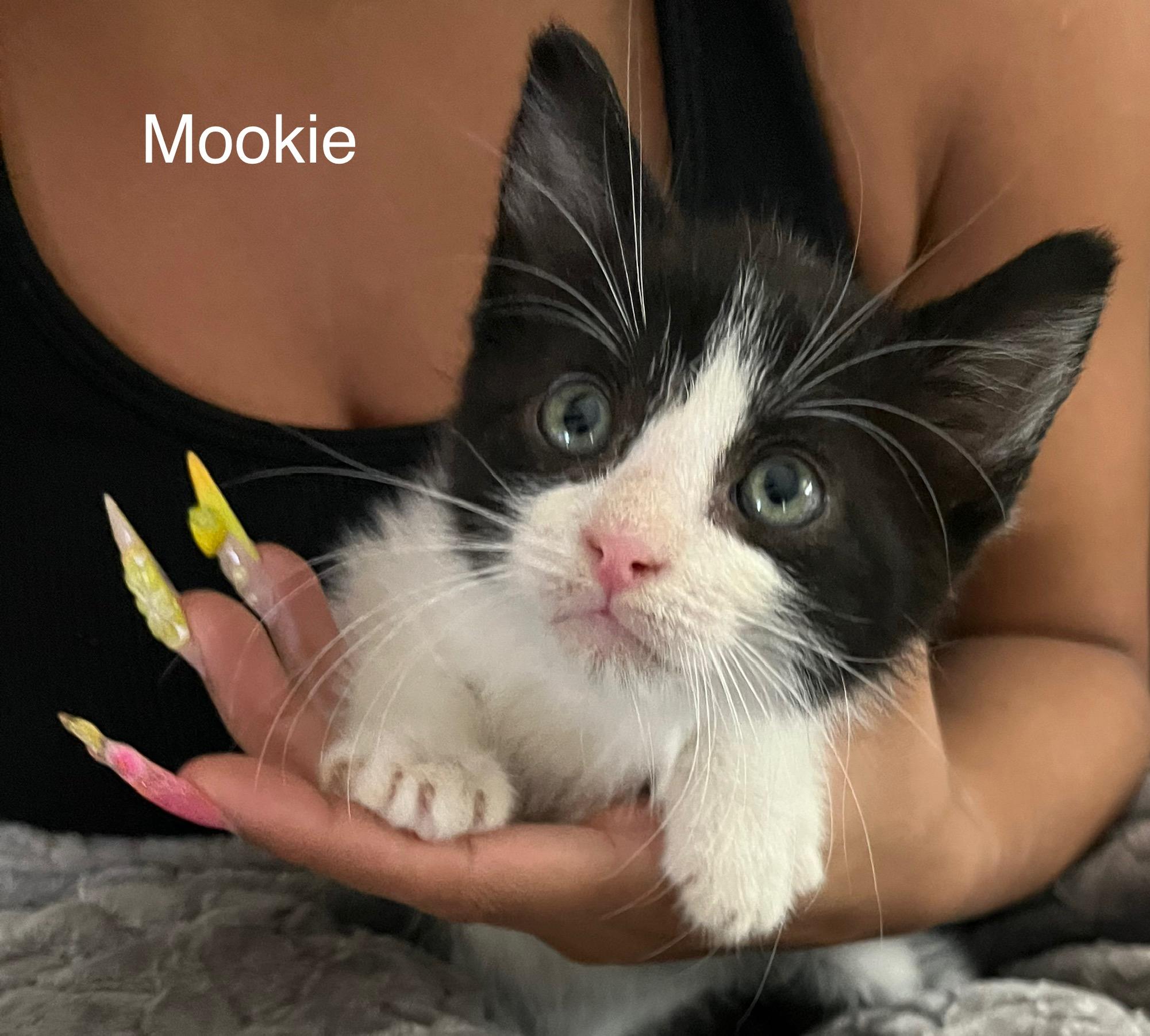 Mookie