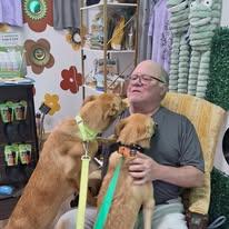 Copperas, a ADOPTABLE mixed breed in Winchester, KY image 4/5