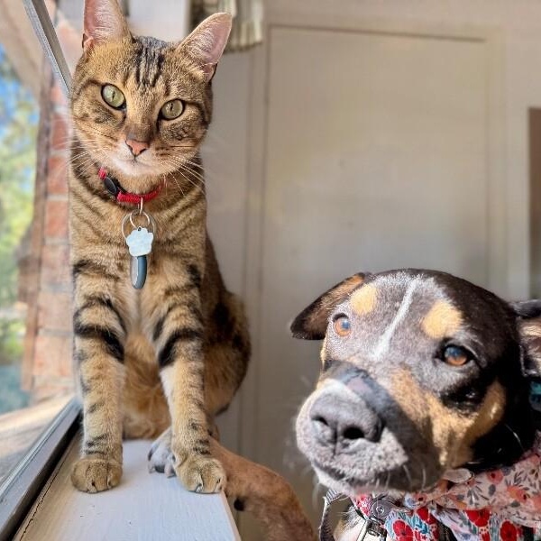 Willow is Wiggles and Wonderful — thumbnail 3