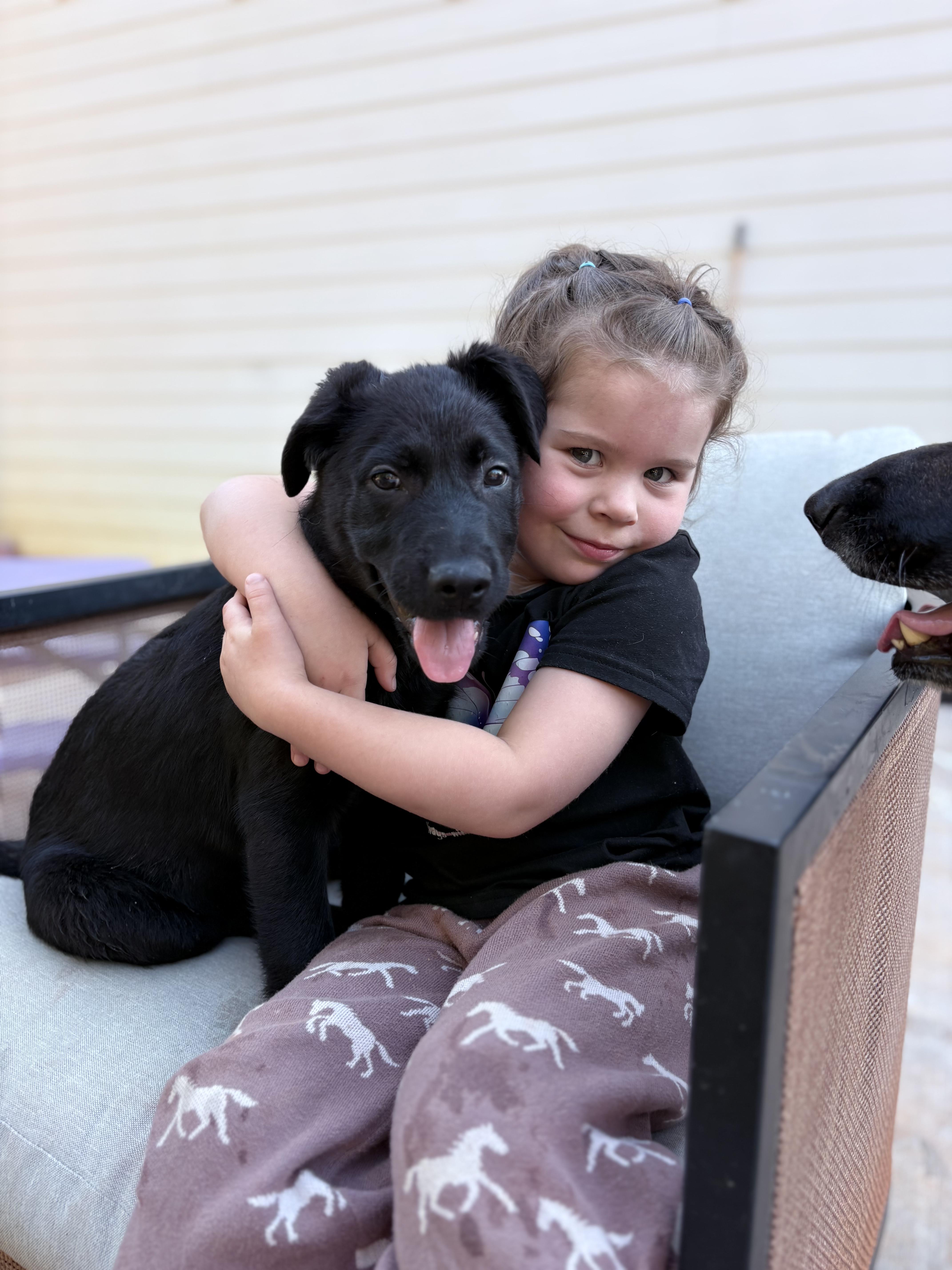 Enlarge Jet, a ADOPTABLE mixed breed in Denver, NC image 3/6