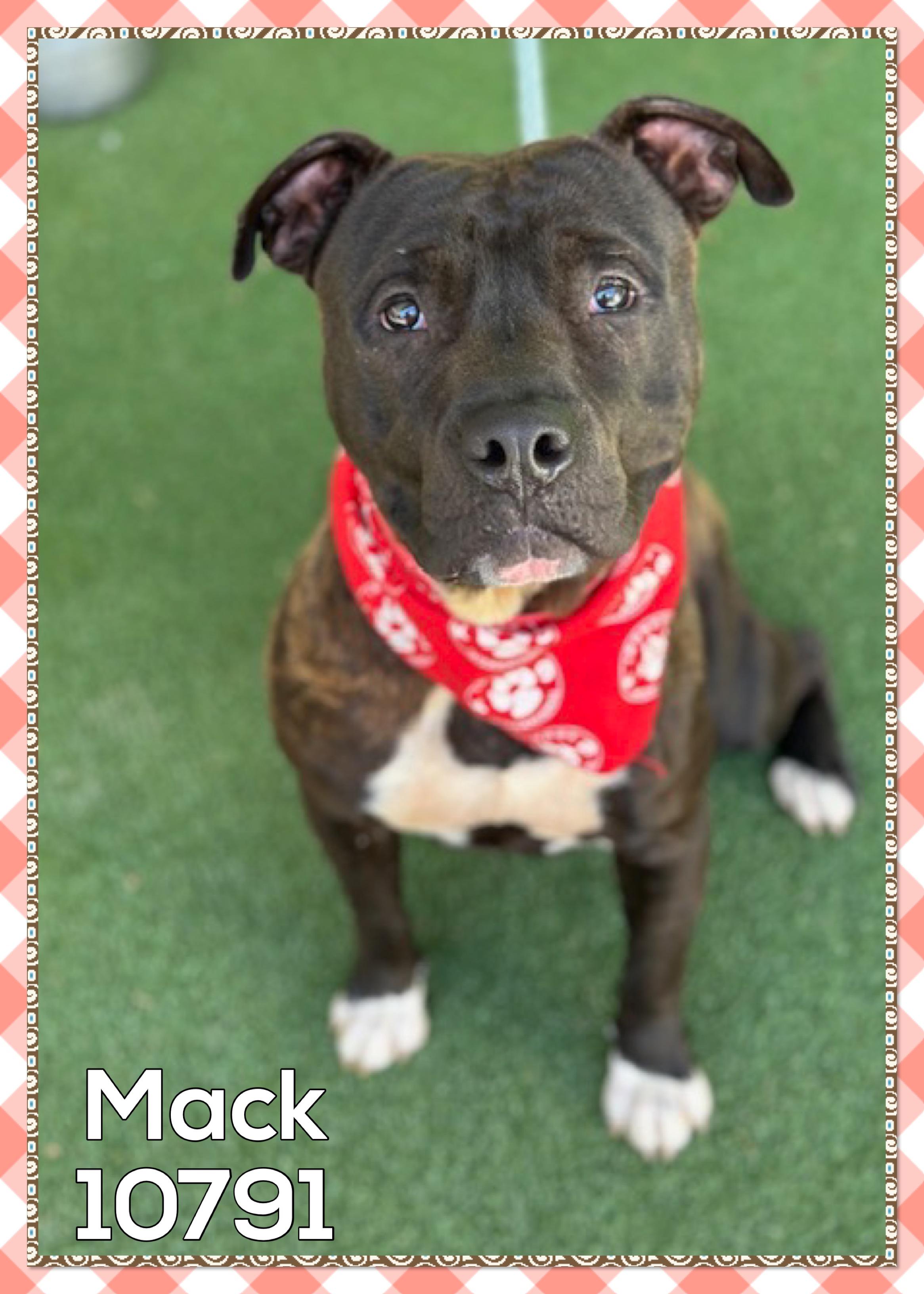 MACK