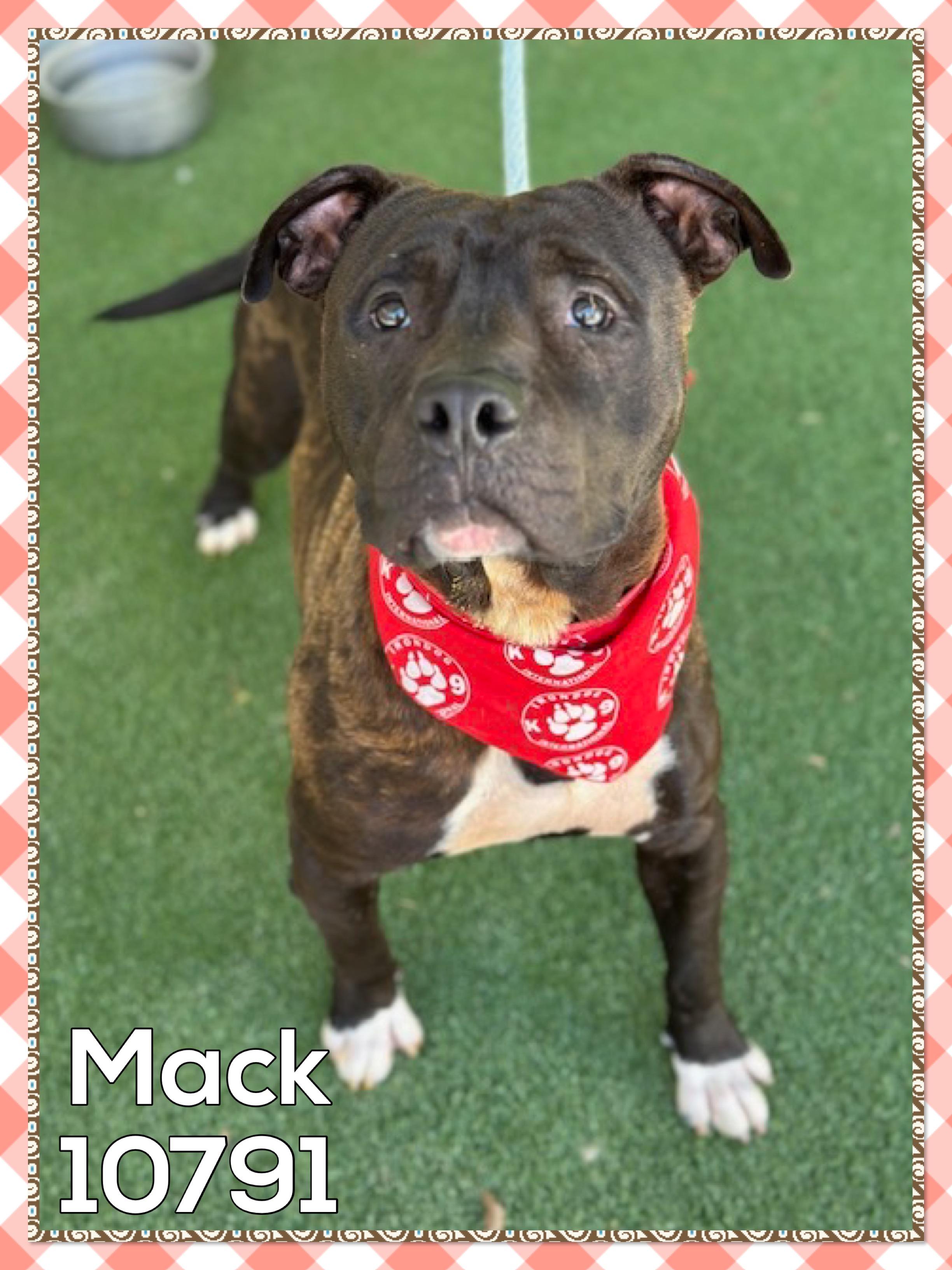MACK
