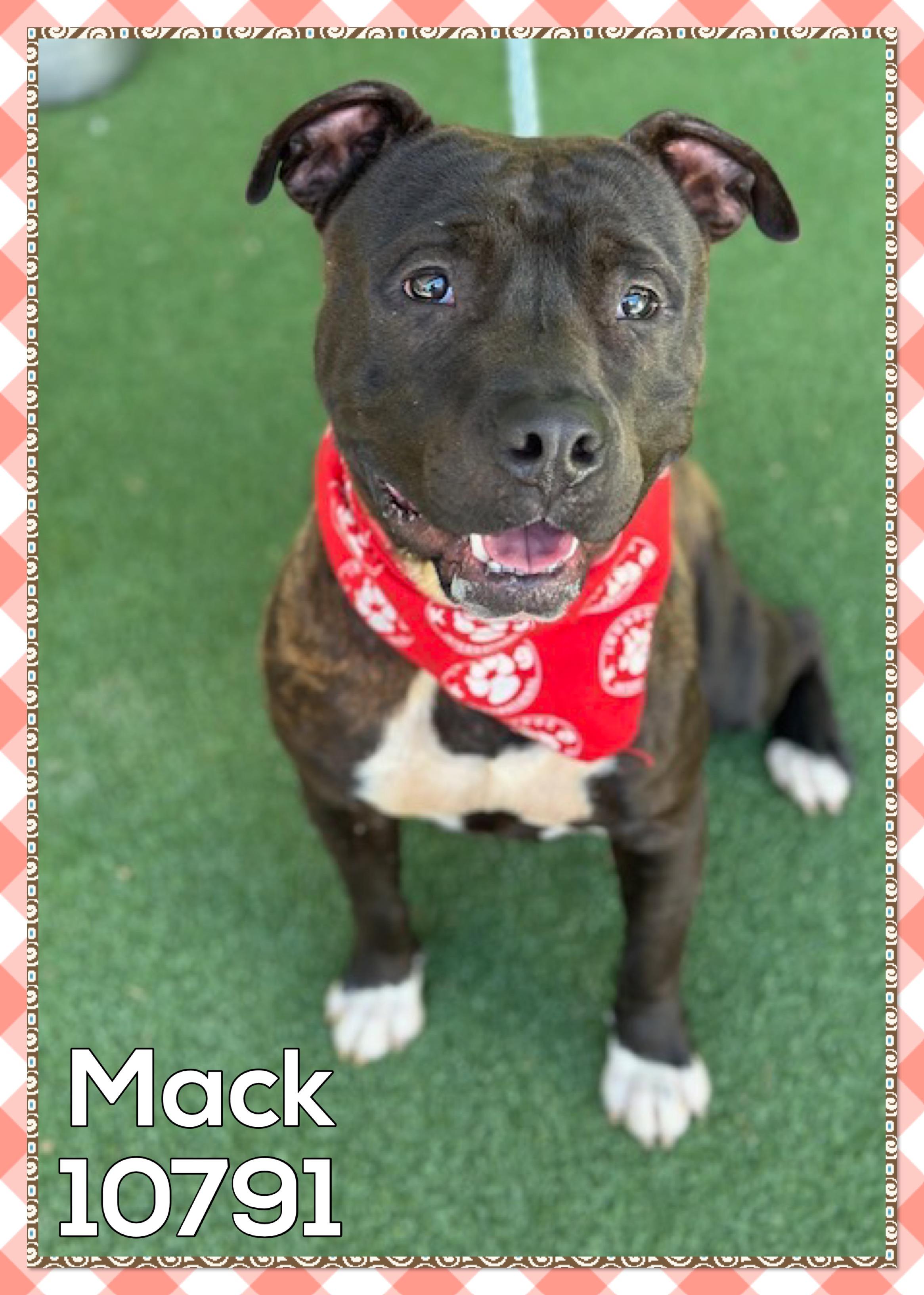 MACK