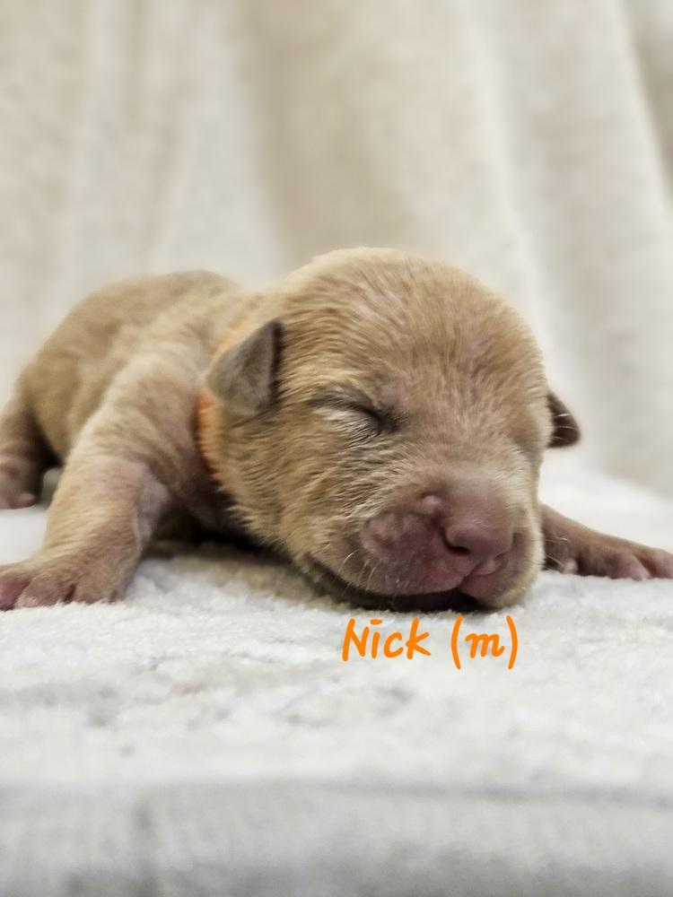 Nick