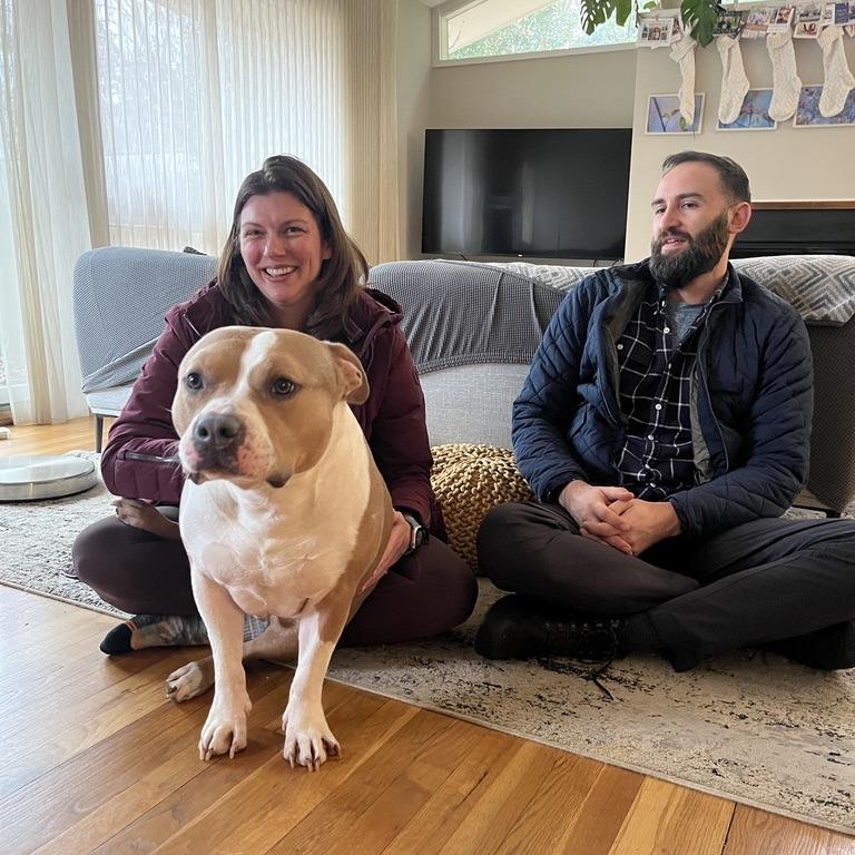 Enlarge Drakey, a Adoptable mixed breed in York, PA image 3/6