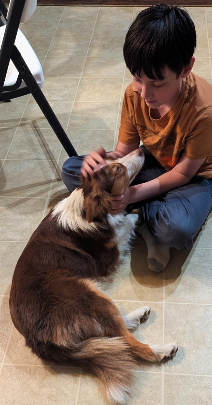 Flare, an adopted mixed breed in Cordova, TN image 6/6