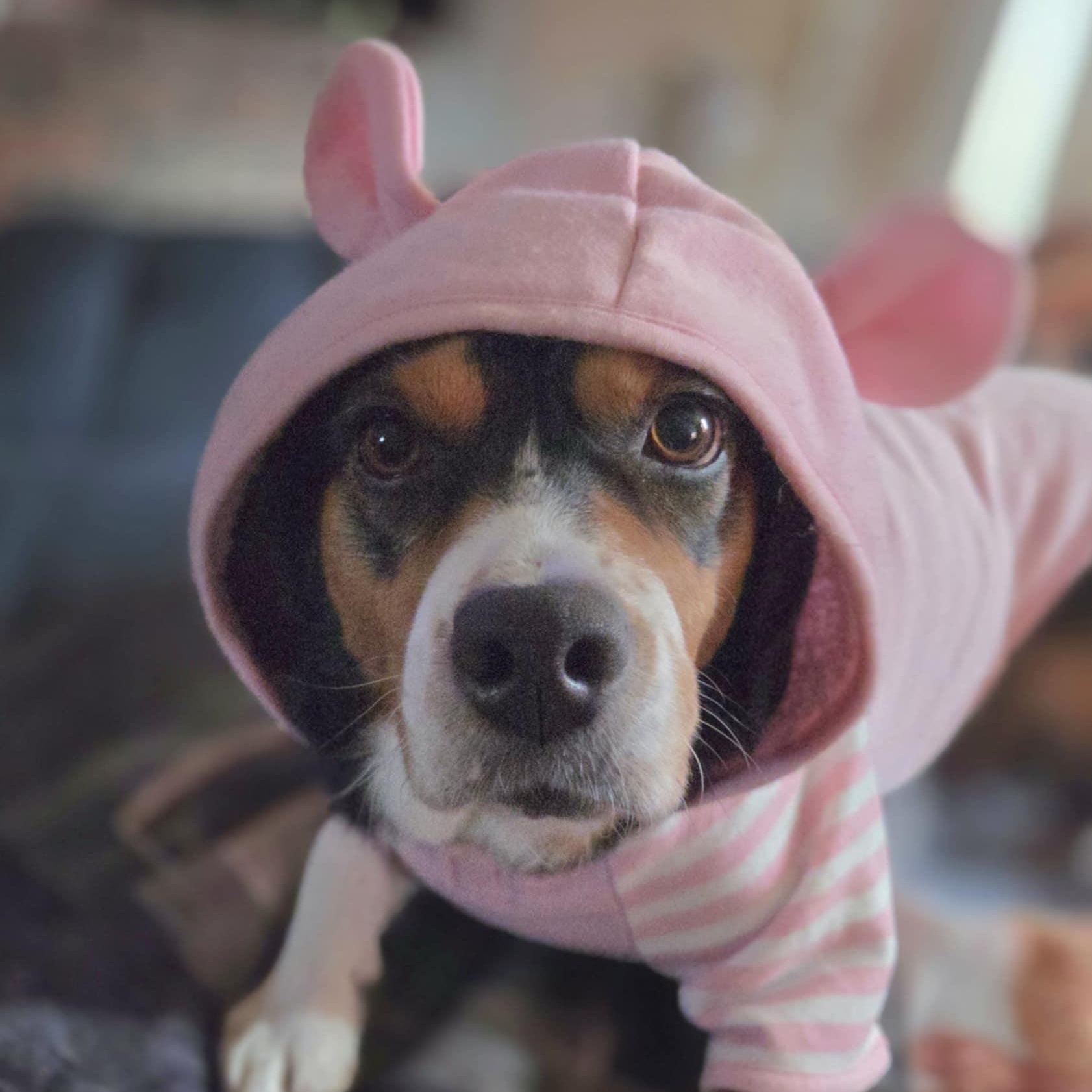 Lucky Day thumbnail 3