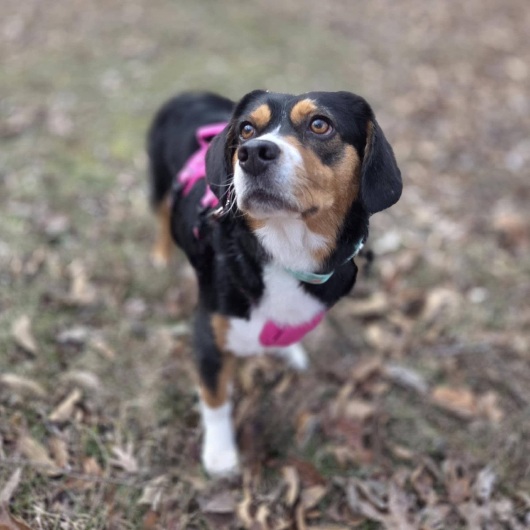 Lucky Day thumbnail 5