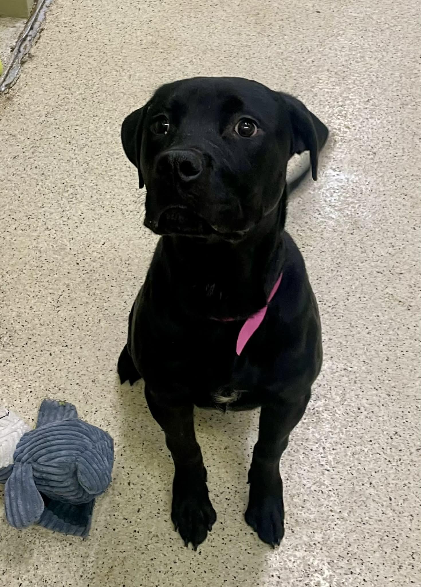 Cullen — thumbnail 3